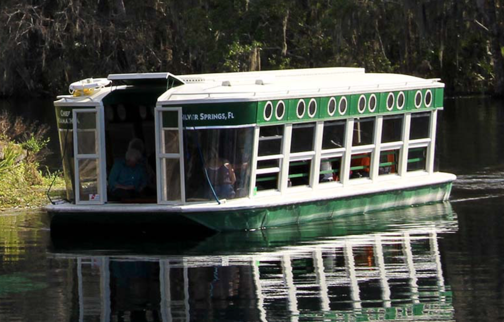Best Ways To Experience Central Florida’s Beautiful Waters and See Manatees This Spring