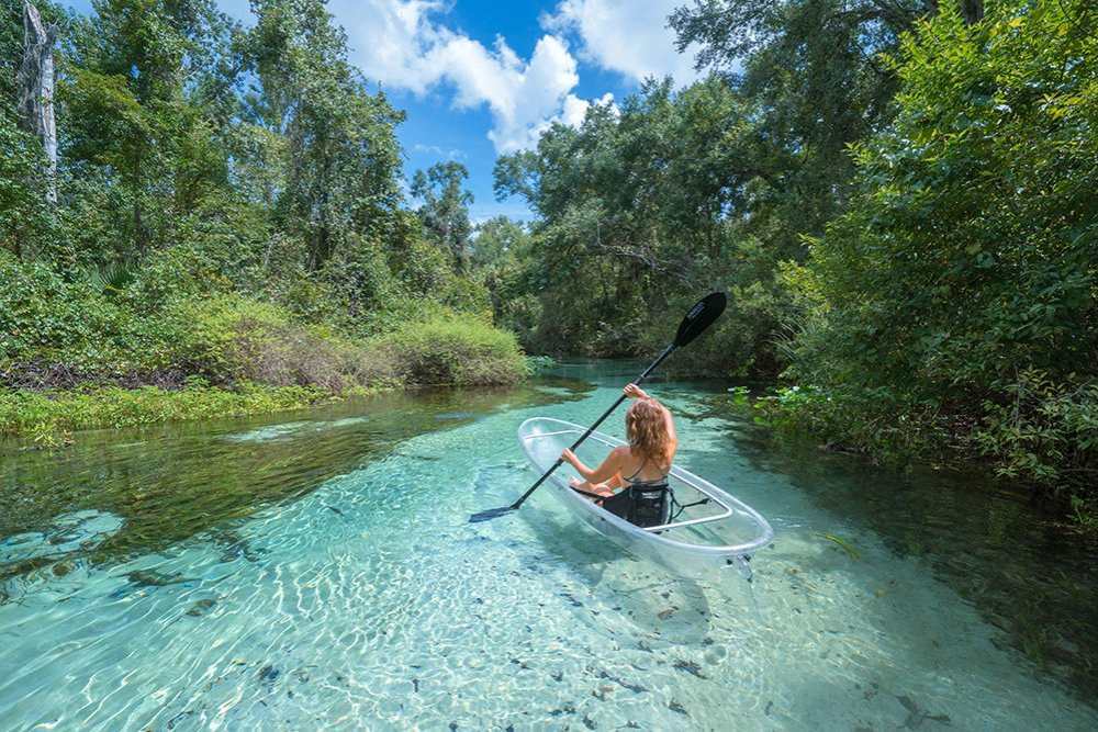 Clear kayaks at Rock Springs, Florida