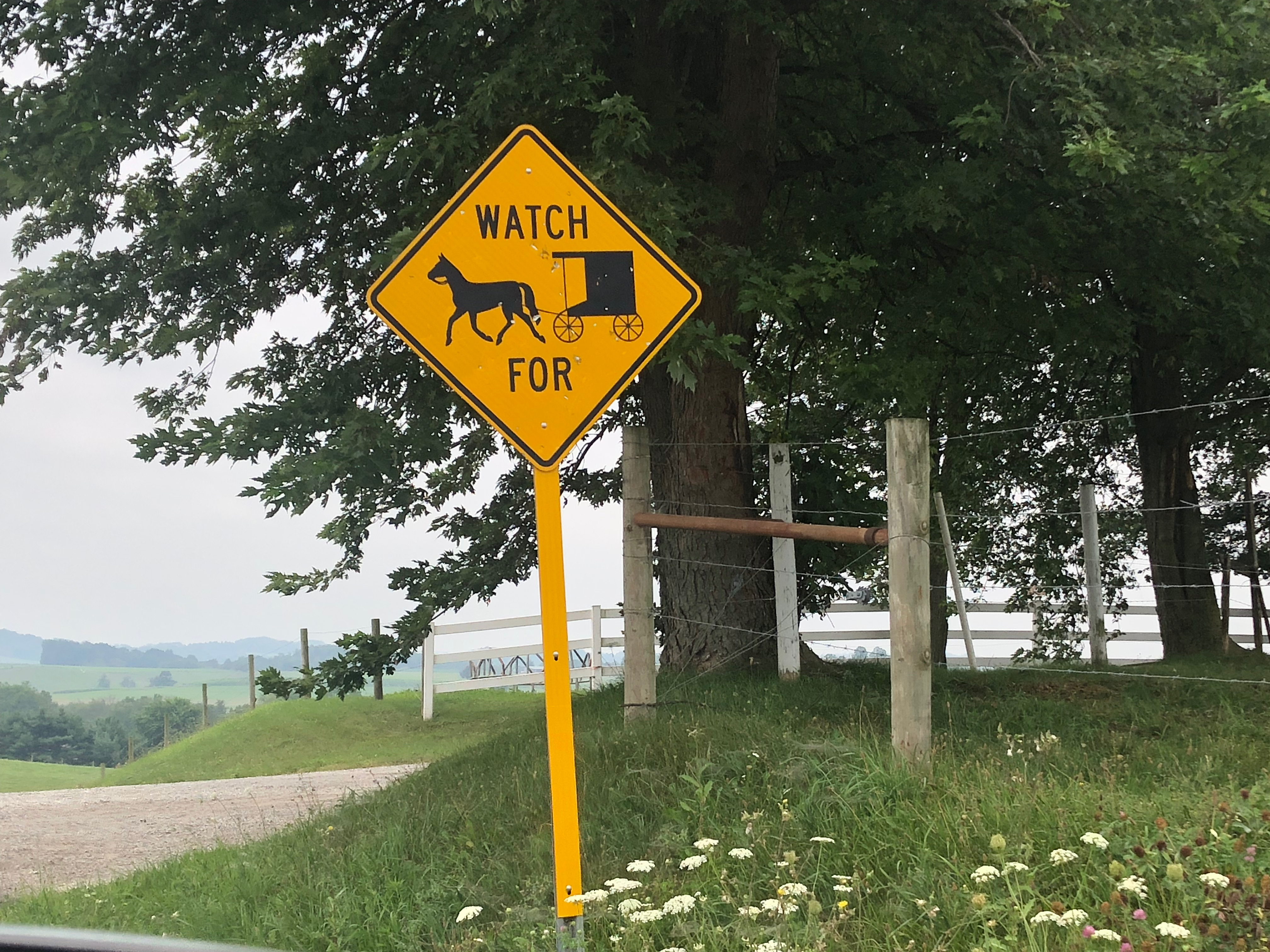 Watch for buggies sign Ohio Amish Country