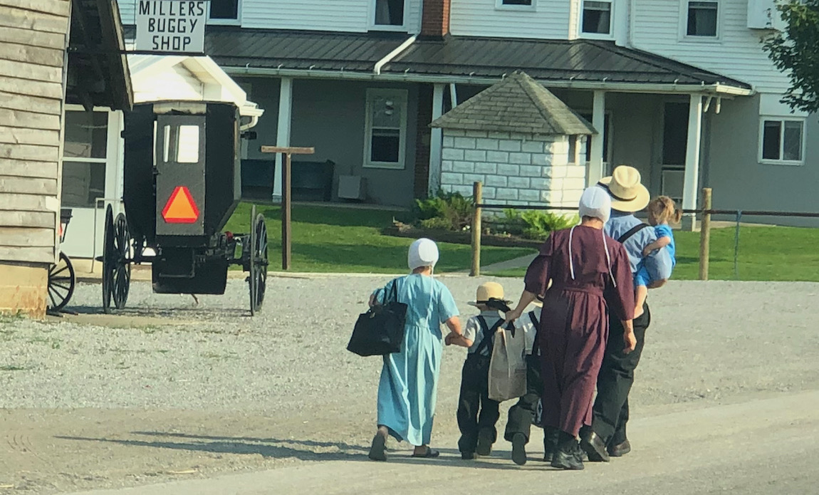 Shepherds Staff - Amish Wares